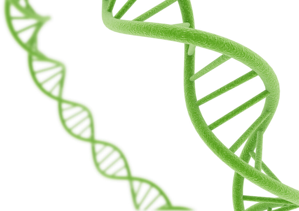 Green DNA to represent animal breeding R&D Tax Credit case focused on Science Test